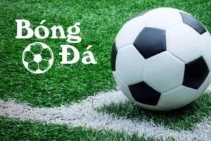Sự Khác Biệt Giữa Bóng Trong Cuộc Và Bóng Ngoài Cuộc Trong Cá Cược Bóng Đá