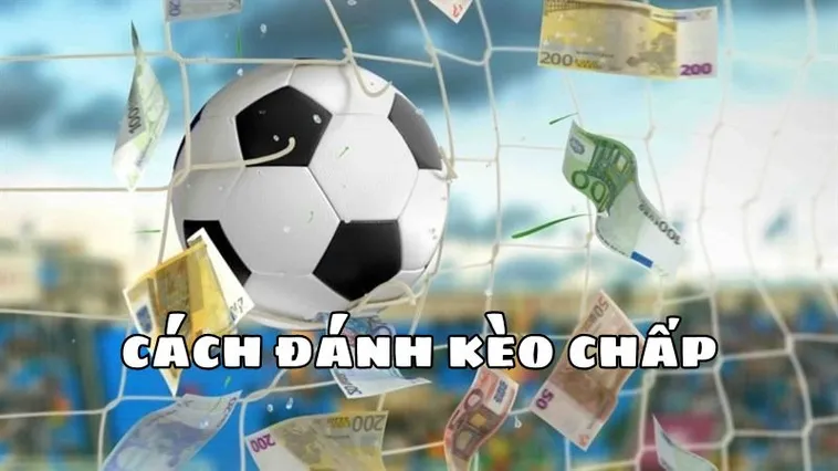 Cách Chơi Kèo Chấp 2 Trái Tại 7M Hiệu Quả Và Dễ Hiểu Cho Người Mới