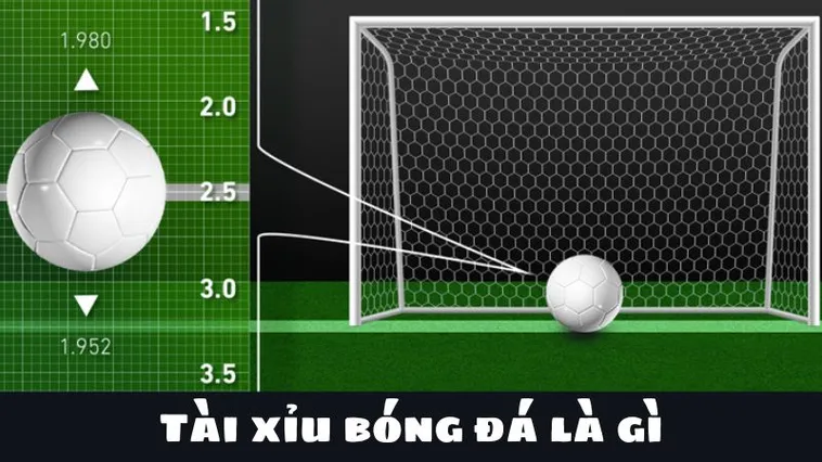 Cách Chơi Kèo Tài Xỉu Bóng Đá Tại 7M Hiệu Quả Và Dễ Hiểu Cho Người Mới
