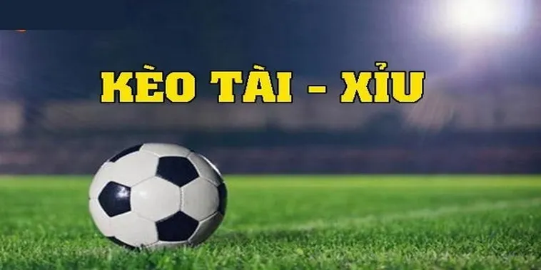 Cách Chơi Kèo Tài Xỉu Hiệp 2 Tại 7M Hiệu Quả Cho Người Mới Bắt Đầu