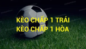 Cách Chơi Kèo Chấp 1 Tại 7M Hiệu Quả Cho Người Mới Lẫn Cao Thủ