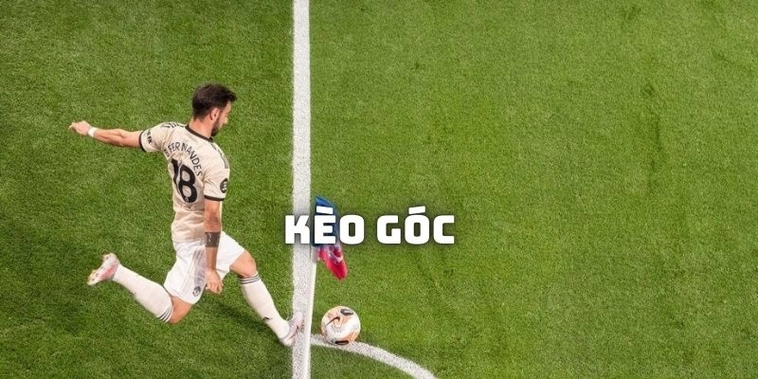 Cách Chơi Kèo Phạt Góc Bóng Đá Tại 7M Hiểu Rõ Tỷ Lệ Và Cách Đặt Chuẩn Xác