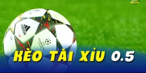 Cách Chơi Kèo Tài Xỉu Tại 7M Hiệu Quả Cho Người Mới Và Cao Thủ