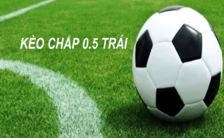 Cách Chơi Kèo Chấp 0.5 Tại 7M Hiểu Rõ Luật Và Bí Quyết Thắng Lớn