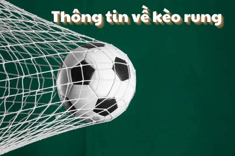 Cách Chơi Kèo Rung Trong Bóng Đá Tại 7M Dành Cho Người Mới Bắt Đầu