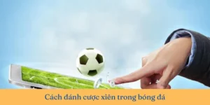 Cách Chơi Kèo Xiên Trong Bóng Đá Tại 7M Chuẩn Xác Cho Người Mới
